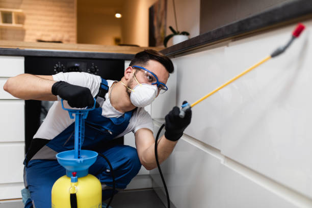 Best Rat Extermination Near Me  in Inwood, WV