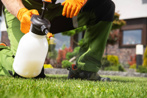 Best Exterminator Services  in Inwood, WV