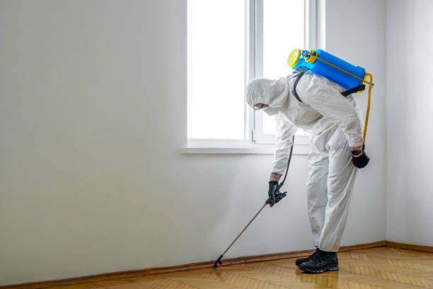 Insect Control in Inwood, WV