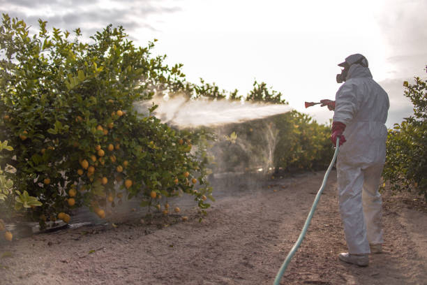 Best Pest Control Treatment  in Inwood, WV