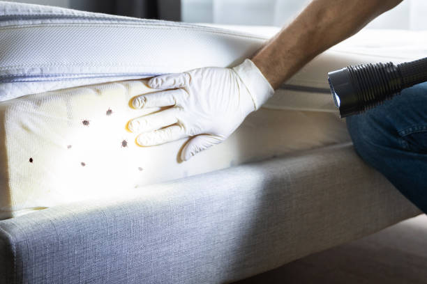 Best Pest Inspection Near Me  in Inwood, WV